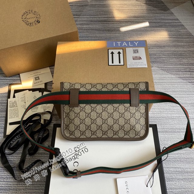 Gucci新款原廠皮女包 古馳2019最新系列胸包 Gucci男女通用款腰包挎包 493930  ydg3116